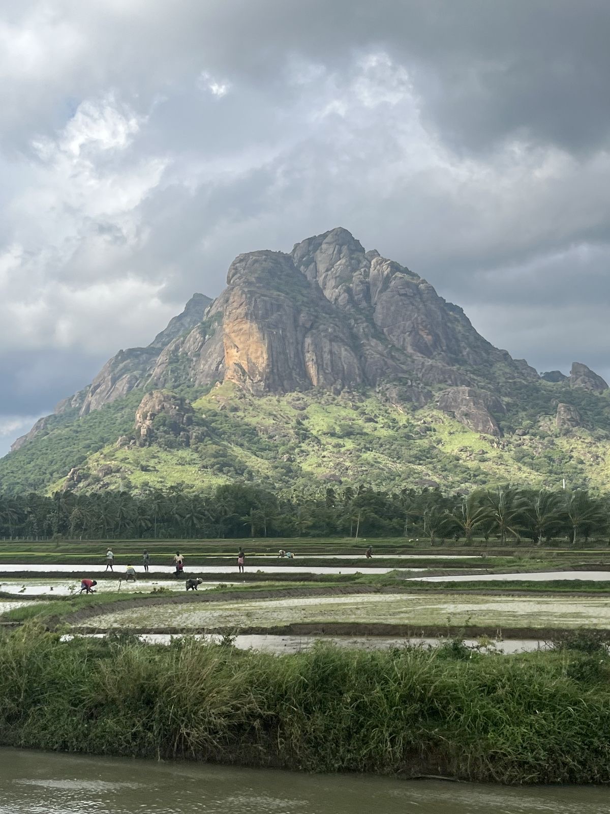 Workers tending flooded paddy fields beneath a granite hill.